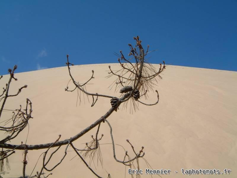 Dune Du Pyla 2003 002